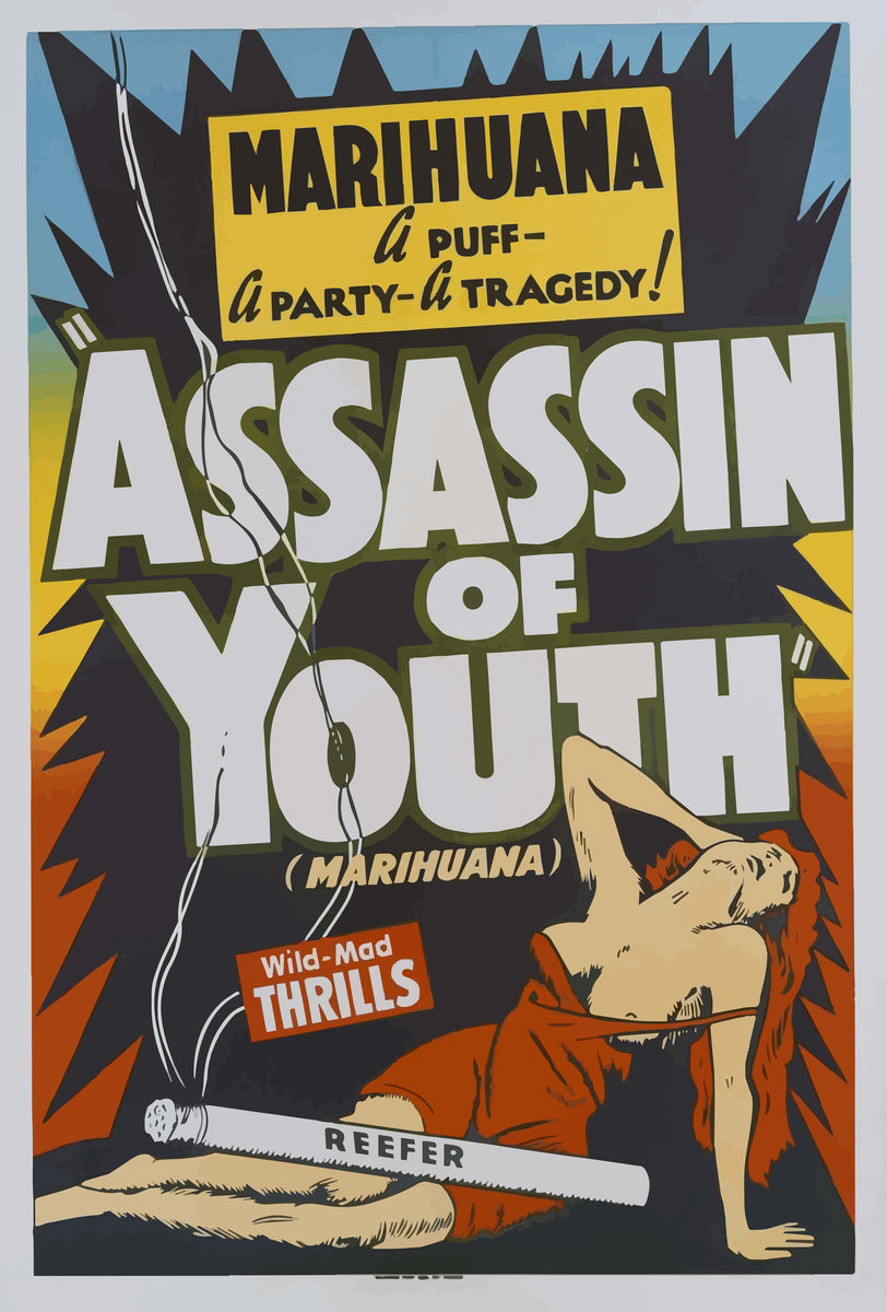 Vintage Poster Assassin Of Youth Anti-Marihuana Hysterie Filmplakat