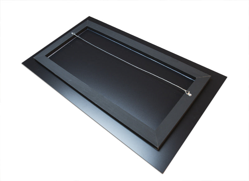 Qualle (Pelagia noctiluca)