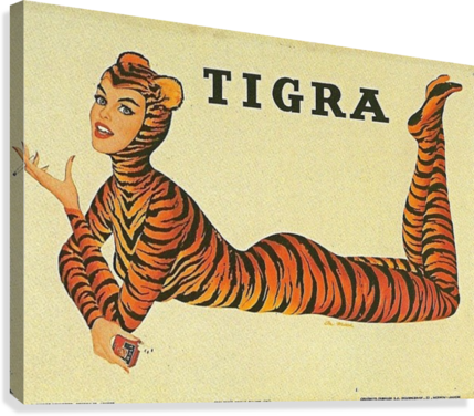 Giclée Stretched Canvas Print