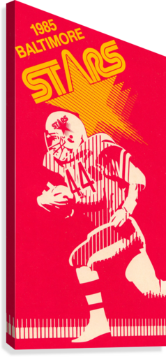 Giclée Stretched Canvas Print