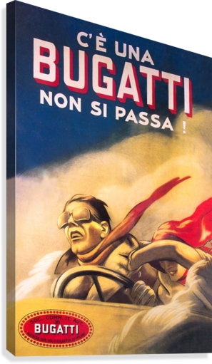 Giclée Stretched Canvas Print