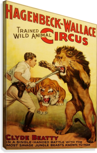 Giclée Stretched Canvas Print