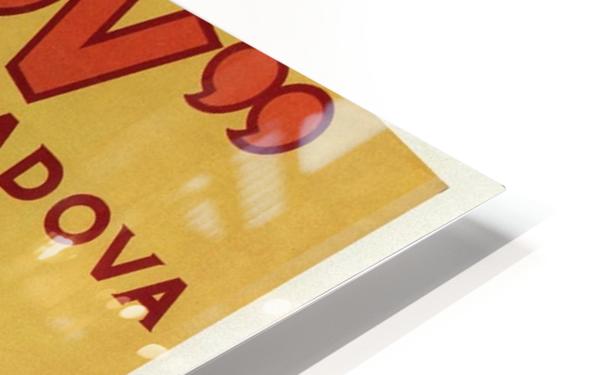 HD Sublimation Metal Print