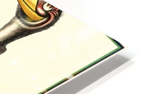 HD Sublimation Metal Print