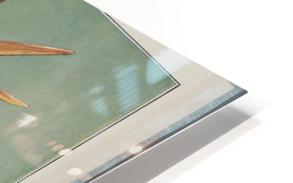 HD Sublimation Metal Print