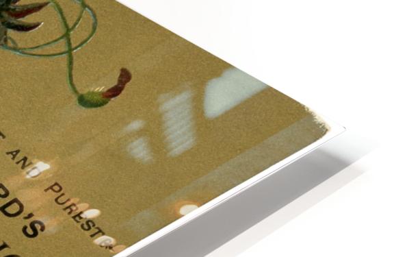 HD Sublimation Metal Print