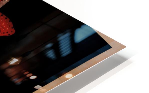 HD Sublimation Metal Print