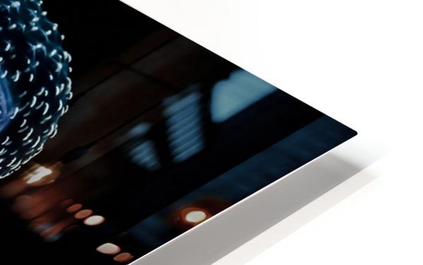 Qualle (Pelagia noctiluca)